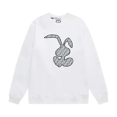 Dior Hoodie 14+ colorways [Premium Quality]