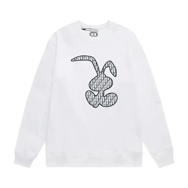 Dior Hoodie 14+ colorways [Premium Quality]
