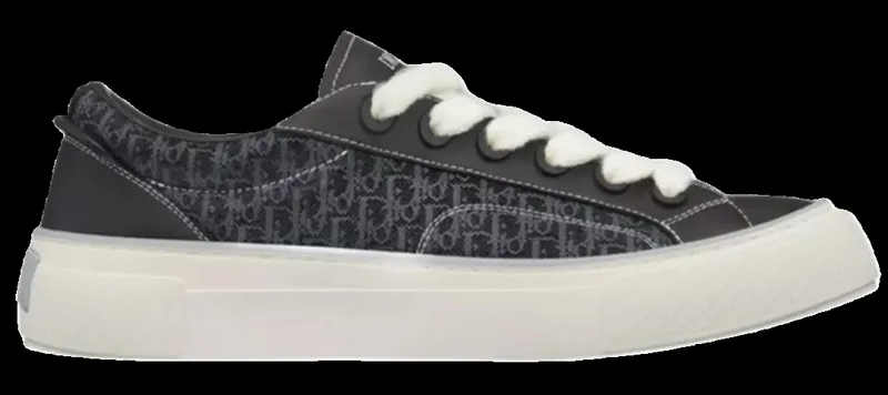 Dior B33