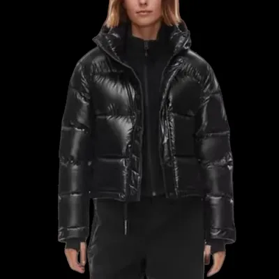 Aritzia Puffer Jacket