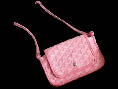 Goyard bag