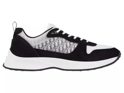 Dior B25