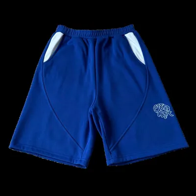 Mertra Shorts Blue