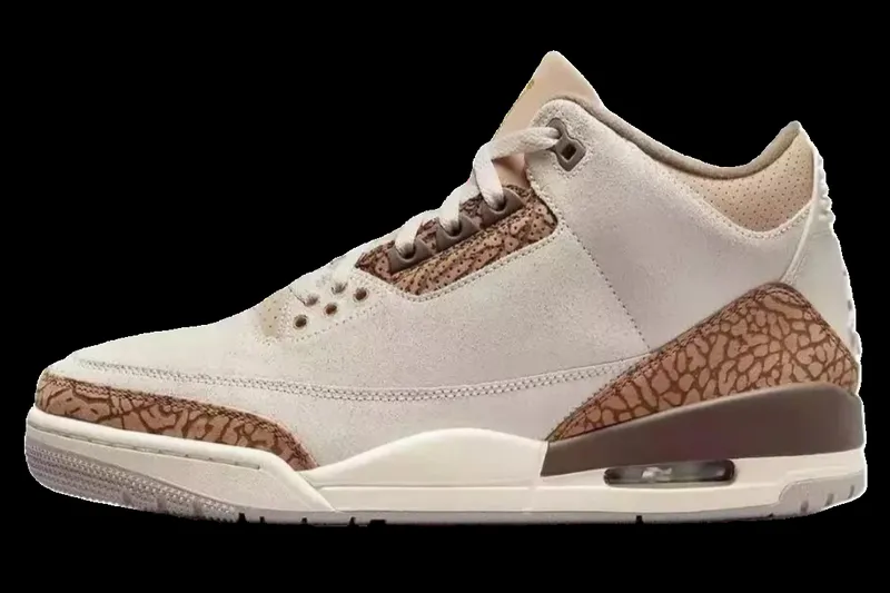Air Jordan 3 A Ma Maniére