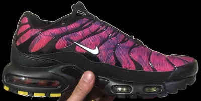 Nike Tn (Budget)