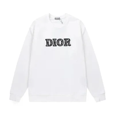 Dior Hoodie 14+ colorways [Premium Quality]