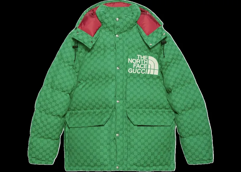 Gucci x The North Face Jacket